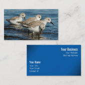 Funny Cute 4 Sanderlings Sandpipers bij het strand Visitekaartje (Voorkant / Achterkant)