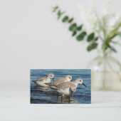 Funny Cute 4 Sanderlings Sandpipers bij het strand Visitekaartje (Staand voorkant)