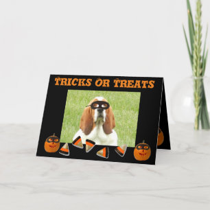 Funny & Cute Basset Hound & Pumpkin Halloween Card Kaart