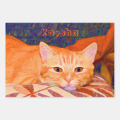 Funny Cute Bright Oranje Tabby Cat Decoupage Inpakpapier Vel (Voorkant 3)