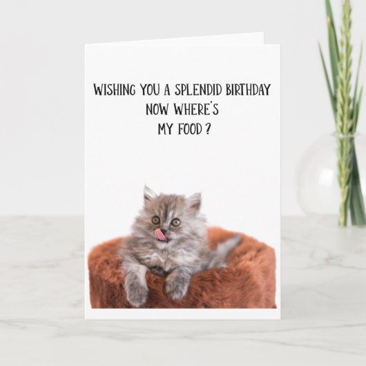 Funny Cute Cat Birthday Wenskaart Kaart (Voorkant)