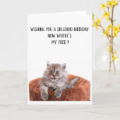 Funny Cute Cat Birthday Wenskaart Kaart (Gele Bloem)