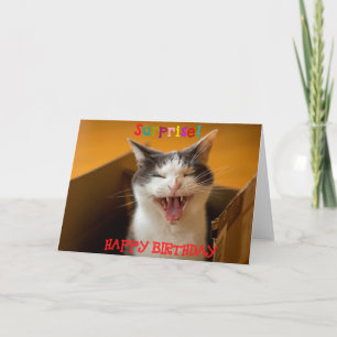 Funny Cute Cat in a Box Birthday Wenskaart  Kaart