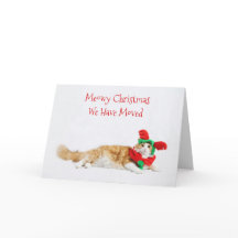 Funny Cute Cat Kerstmis Verplaatsend Nieuw Adres