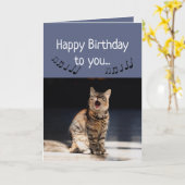 Funny Cute Cat Singing Happy Birthday Kaart (Gele Bloem)