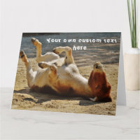 Funny Cute Cheeky Donkey Custom Happy Birthday