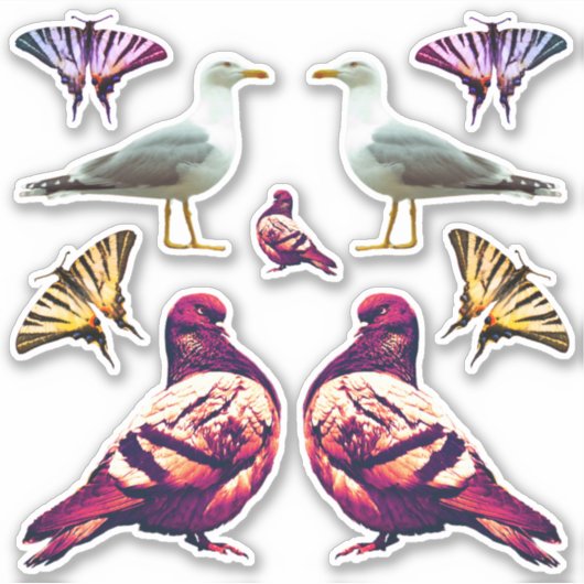 Funny Cute Cool Pigeon Bird & Butterfly Photo Sticker (Voorkant)