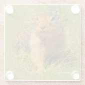 Funny Cute Curious Columbian Ground Squirrel Glazen Onderzetter (Achterkant)