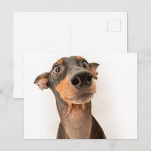 Funny Cute Doberman Puppy Dog Briefkaart (Voorkant / Achterkant)