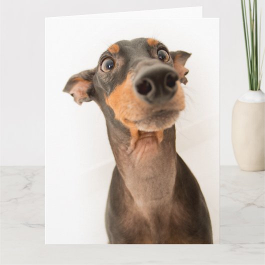 Funny Cute Doberman Puppy Dog Kaart (Voorkant)