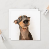 Funny Cute Doberman Puppy Dog Kaart (Voorkant / Achterkant in situ)