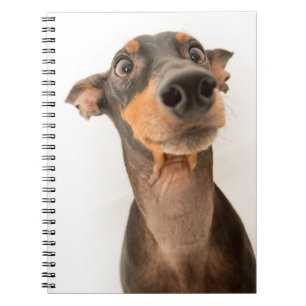 Funny Cute Doberman Puppy Dog Notitieboek