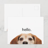 Funny Cute Dog Beagle Hallo Modern Briefkaart (Voorkant / Achterkant)