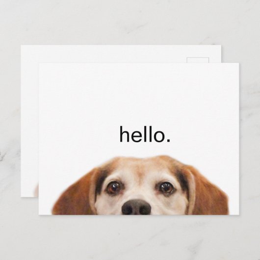 Funny Cute Dog Beagle Hallo Modern Briefkaart (Voorkant / Achterkant)