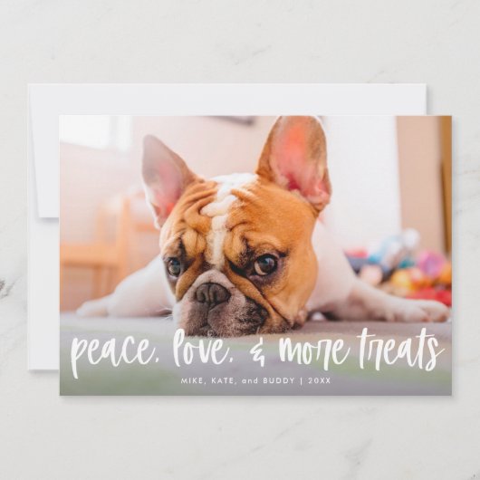 Funny Cute Dog Cat Trees Holiday Photo Card Feestdagenkaart (Voorkant)