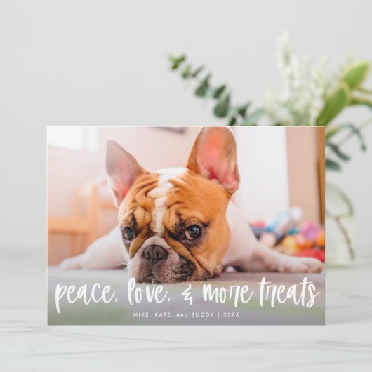 Funny Cute Dog Cat Trees Holiday Photo Card Feestdagenkaart (Staand voorkant)