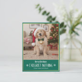 Funny Cute Dog Photo Christmas Holiday Postcard Feestdagenkaart (Staand voorkant)