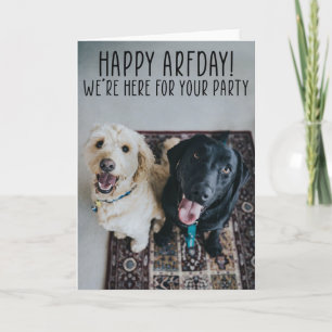 Funny Cute Dogs Birthday Wenskaart Kaart