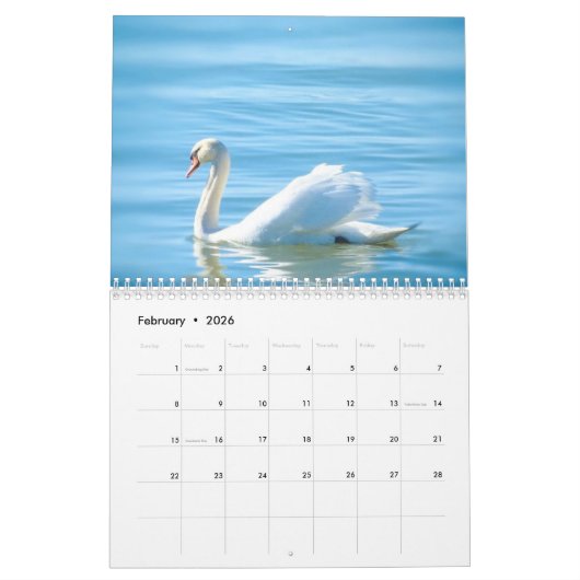 Funny, Cute en Beauful Animals Kalender (Feb 2026)