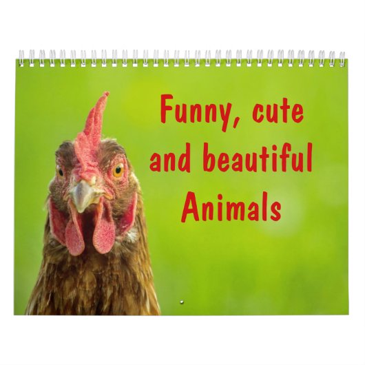 Funny, Cute en Beauful Animals Kalender (Hoes)