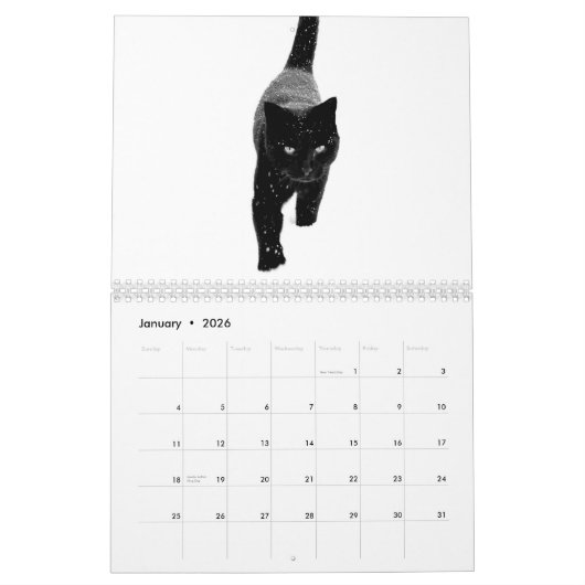 Funny, Cute en Beauful Animals Kalender (Jan 2026)