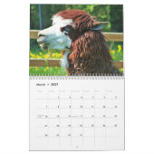 Funny, Cute en Beauful Animals Kalender (Mar 2027)