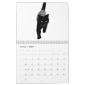 Funny, Cute en Beauful Animals Kalender (Jan 2027)