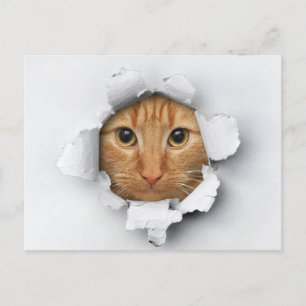 Funny Cute Ginger Mackerel Tabby Cat Briefkaart