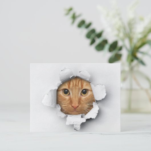 Funny Cute Ginger Mackerel Tabby Cat Briefkaart (Staand voorkant)