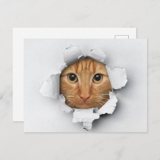 Funny Cute Ginger Mackerel Tabby Cat Briefkaart (Voorkant / Achterkant)
