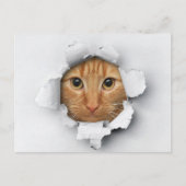 Funny Cute Ginger Mackerel Tabby Cat Briefkaart (Voorkant)