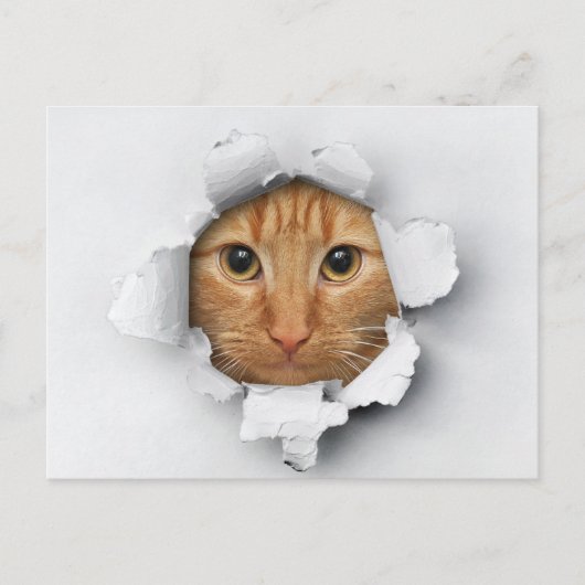 Funny Cute Ginger Mackerel Tabby Cat Briefkaart (Voorkant)