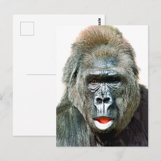 FUNNY CUTE GORILLA BRIEFKAART (Voorkant / Achterkant)