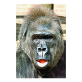 FUNNY CUTE GORILLA FOTO AFDRUK (Voorkant)