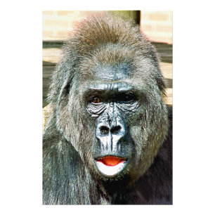 FUNNY CUTE GORILLA FOTO AFDRUK