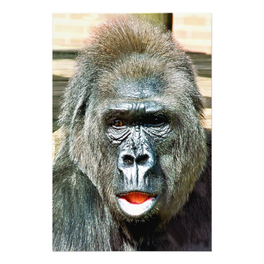 FUNNY CUTE GORILLA FOTO AFDRUK (Voorkant)