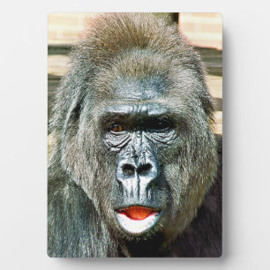 FUNNY CUTE GORILLA FOTOPLAAT