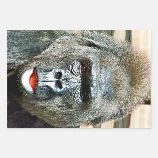 FUNNY CUTE GORILLA INPAKPAPIER VEL (Voorkant 2)