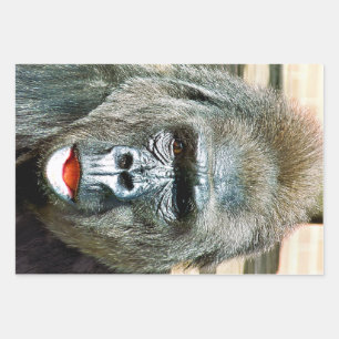 FUNNY CUTE GORILLA INPAKPAPIER VEL