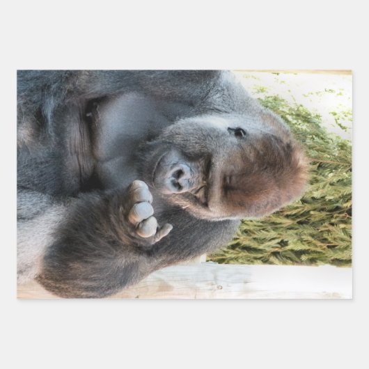 FUNNY CUTE GORILLA INPAKPAPIER VEL (Voorkant)