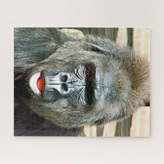FUNNY CUTE GORILLA LEGPUZZEL (Horizontaal)