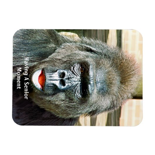 FUNNY CUTE GORILLA MAGNEET (Horizontaal)