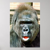 FUNNY CUTE GORILLA POSTER (Voorkant)