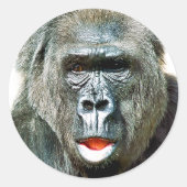 FUNNY CUTE GORILLA RONDE STICKER (Voorkant)