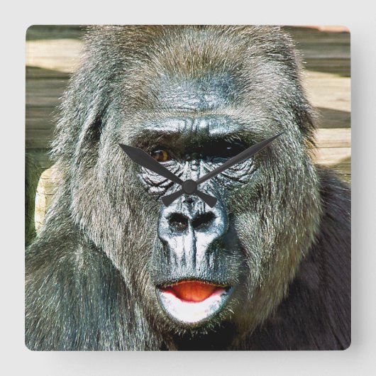 FUNNY CUTE GORILLA VIERKANTE KLOK (Voorkant)