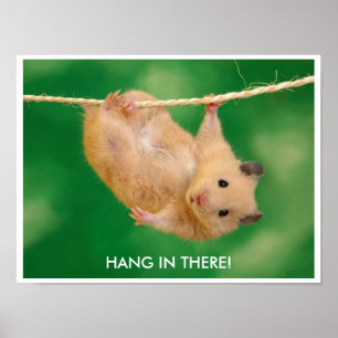 Funny & Cute Hamster Poster
