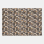 Funny Cute Hand Drawn Beren Pattern Inpakpapier Vel (Voorkant)