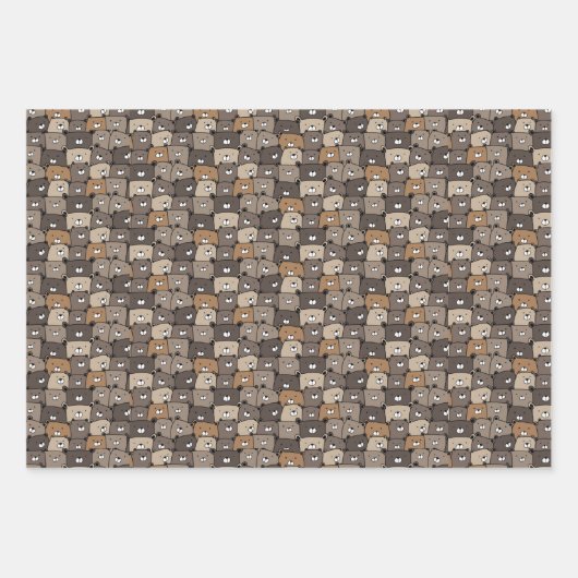 Funny Cute Hand Drawn Beren Pattern Inpakpapier Vel (Voorkant)