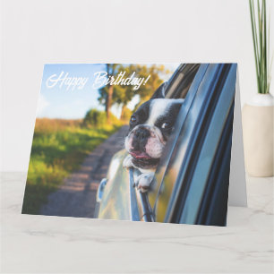 Funny Cute Happy French Bulldog Dog Birthday Card Kaart