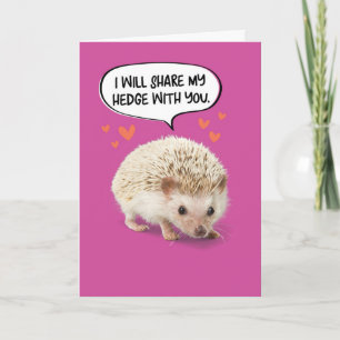 Funny Cute Hedgel Birthday Kaart